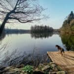 Saaler Mühle - Runde um den See - Walk and Wonder