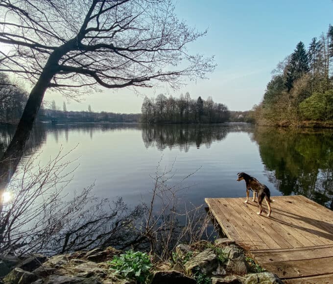 Saaler Mühle - Runde um den See - Walk and Wonder