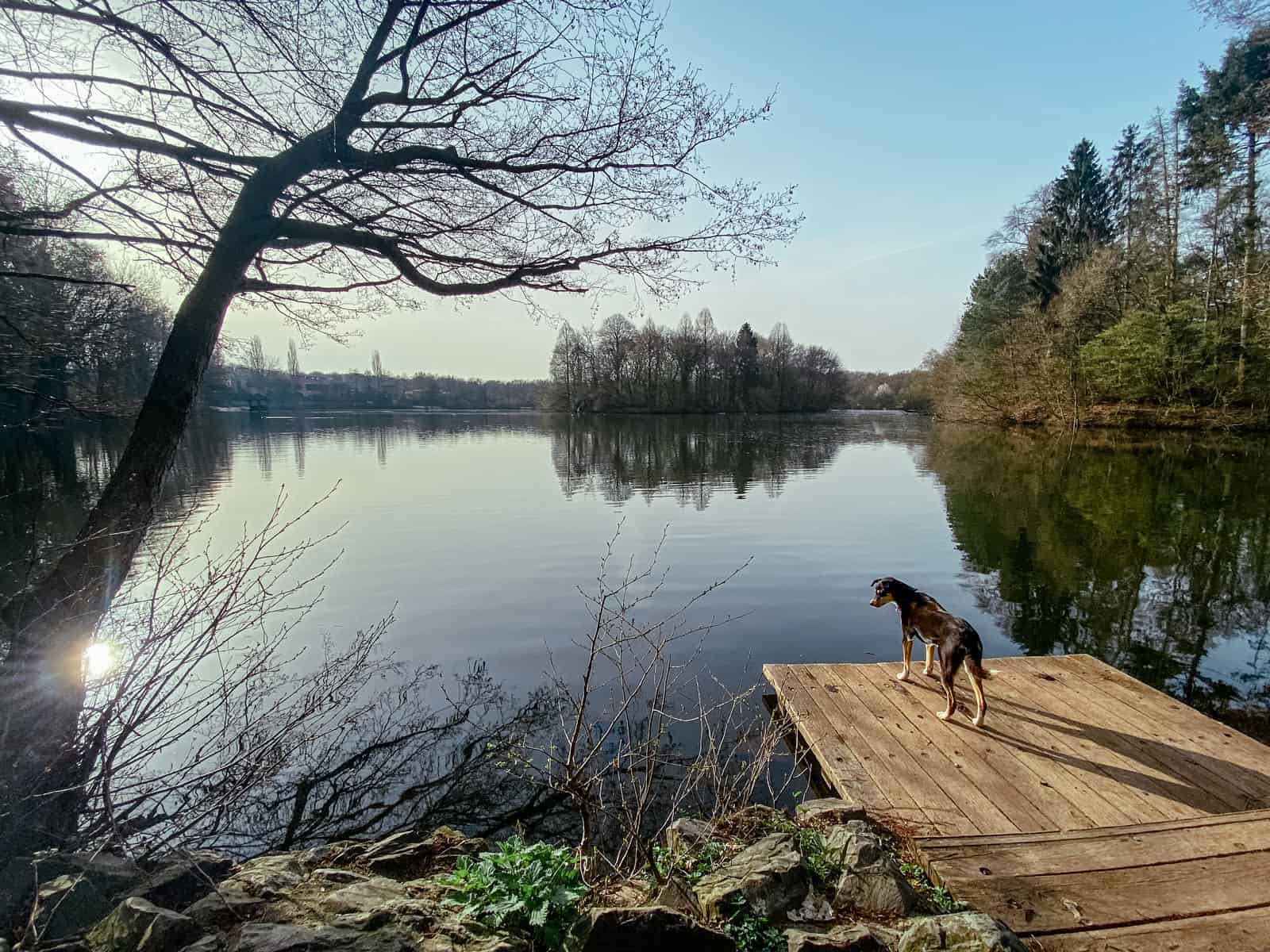 Saaler Mühle - Runde um den See - Walk and Wonder