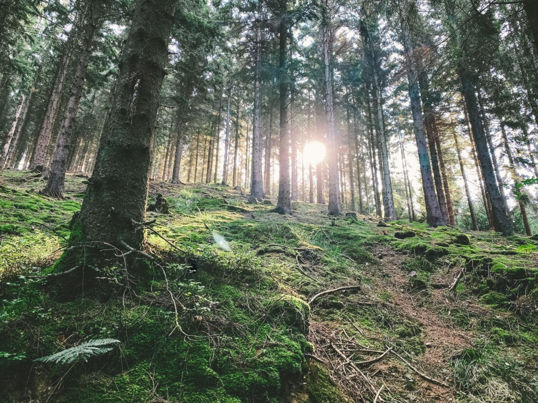 Engelskirchen Wanderung - Walk and Wonder