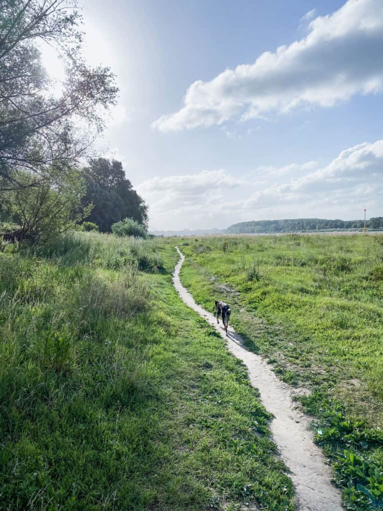 Spaziergang Köln Porz - Westhovener Aue - Walk & Wonder