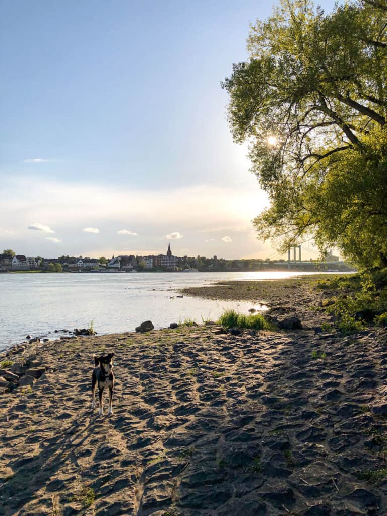 Spaziergang Köln Porz - Westhovener Aue - Walk & Wonder