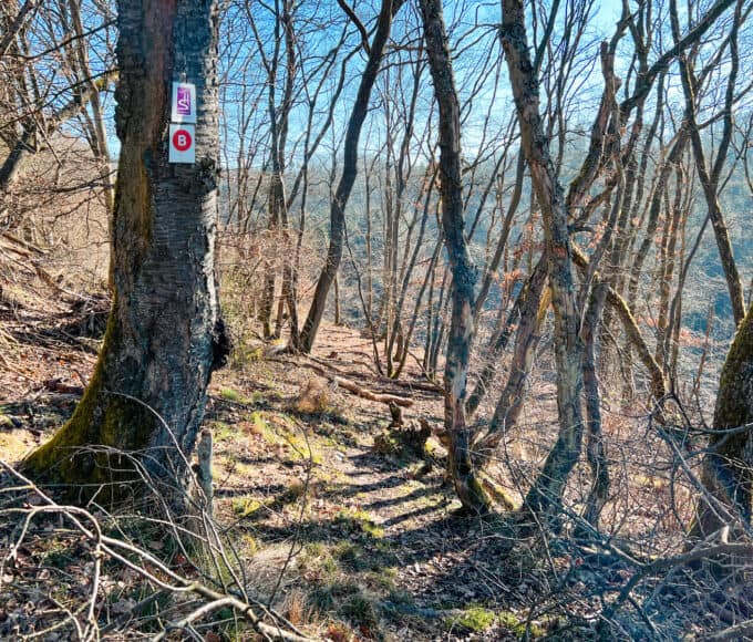 Oberes Baybachtal Wandertipp - Walk and Wonder