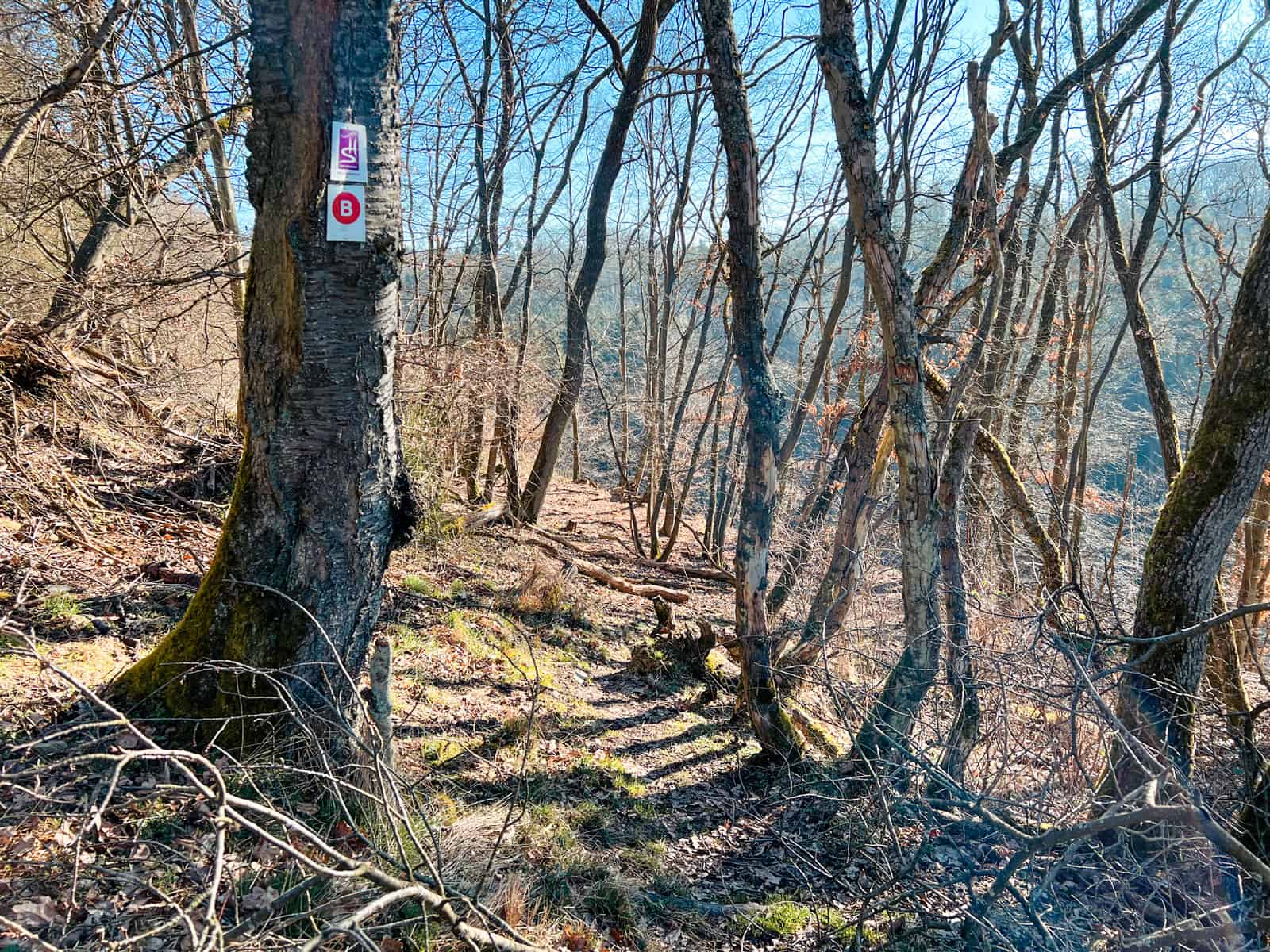 Oberes Baybachtal Wandertipp - Walk and Wonder