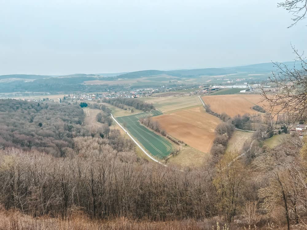 Burgruine Homburg Waldlehrpfad - Walk and Wonder
