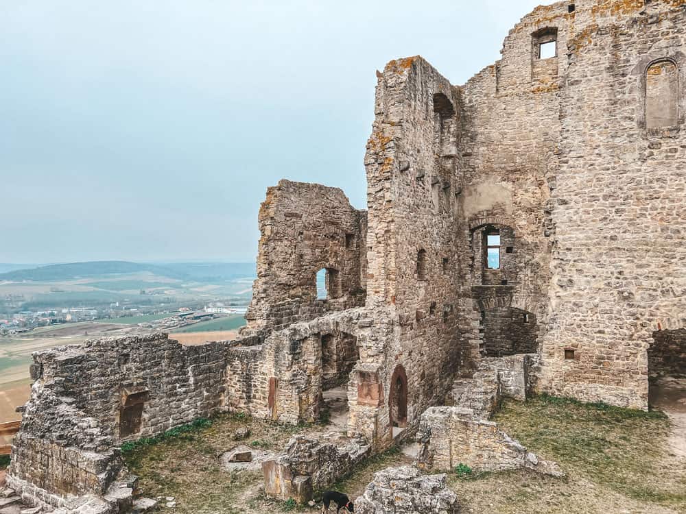 Burgruine Homburg Bayern - Walk and Wonder