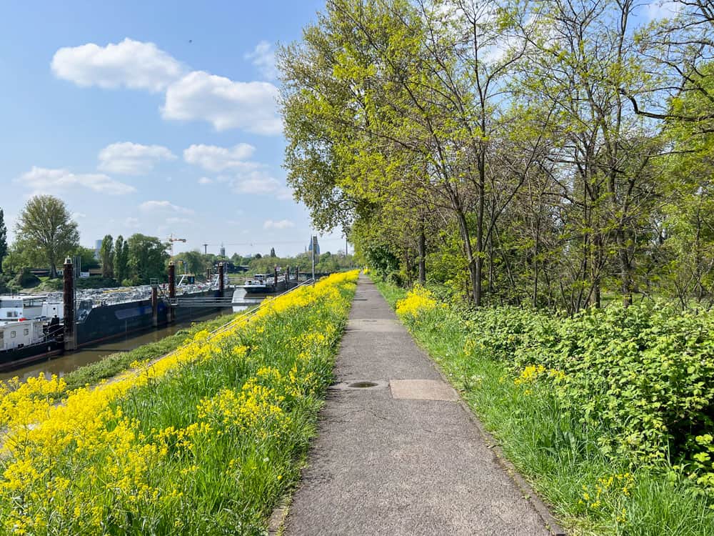 Mülheimer Hafen Runde - Walk and Wonder