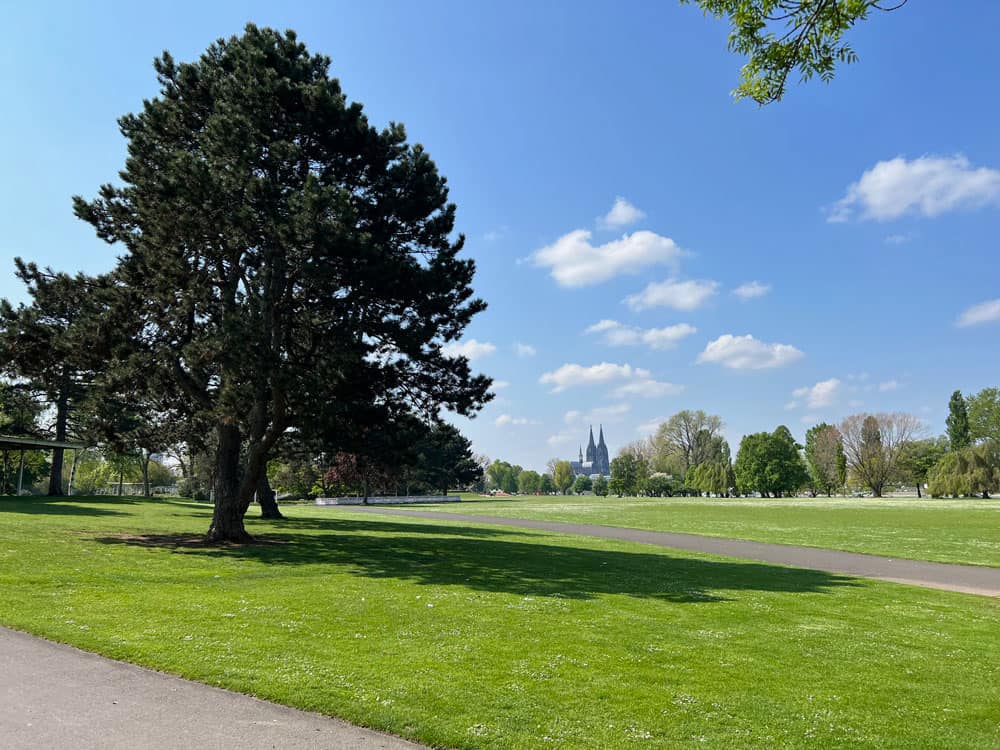 Rheinpark Köln Domblick - Walk and Wonder