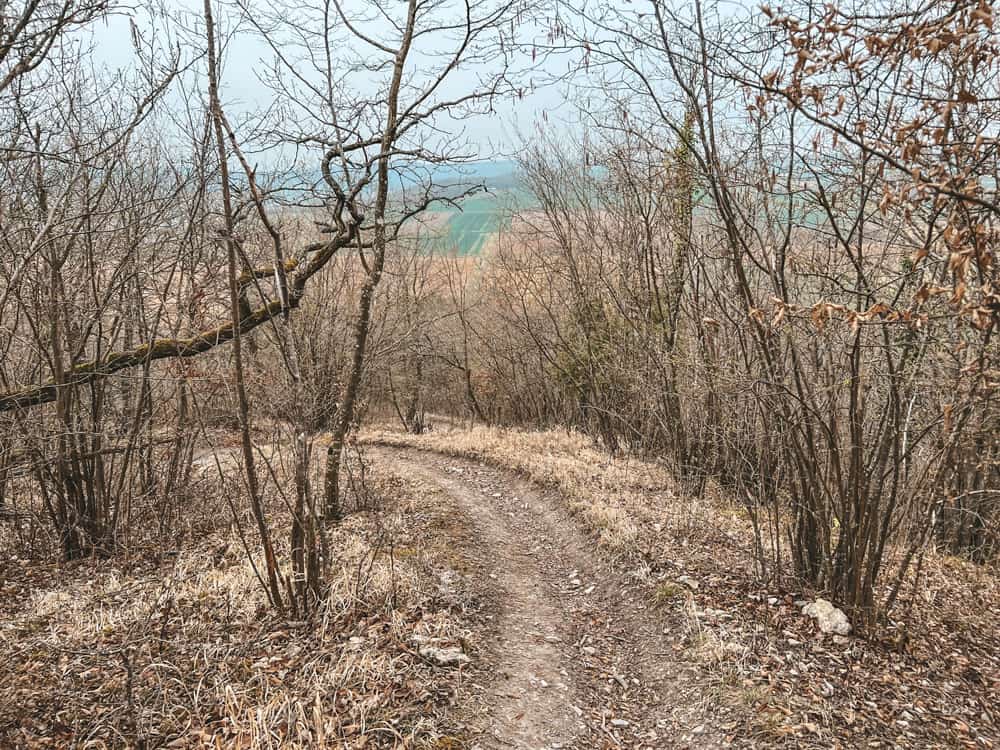 Rundwanderung Burgruine Homburg - Walk and Wonder