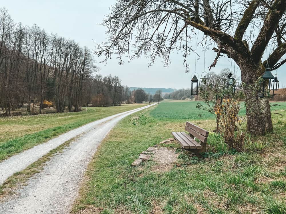 Rundwanderweg Gössenheim Ruine Homburg - Walk and Wonder