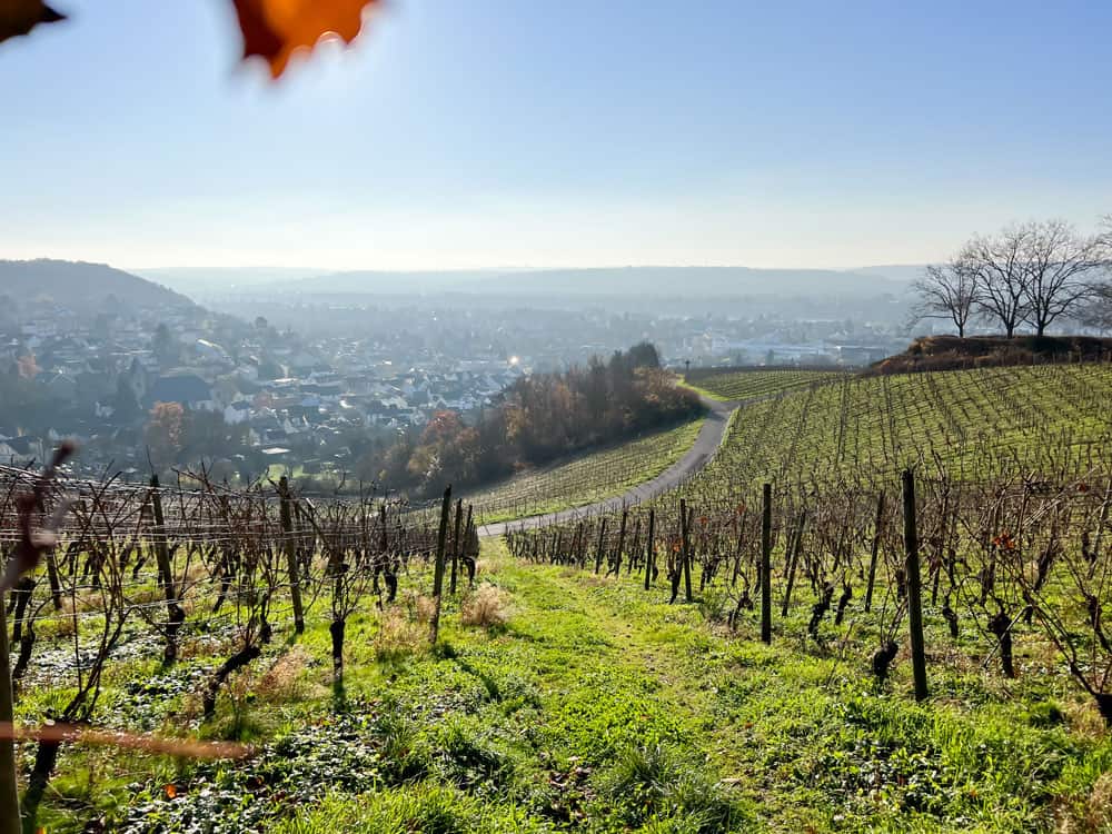 Weinwanderweg Route - Walk and Wonder