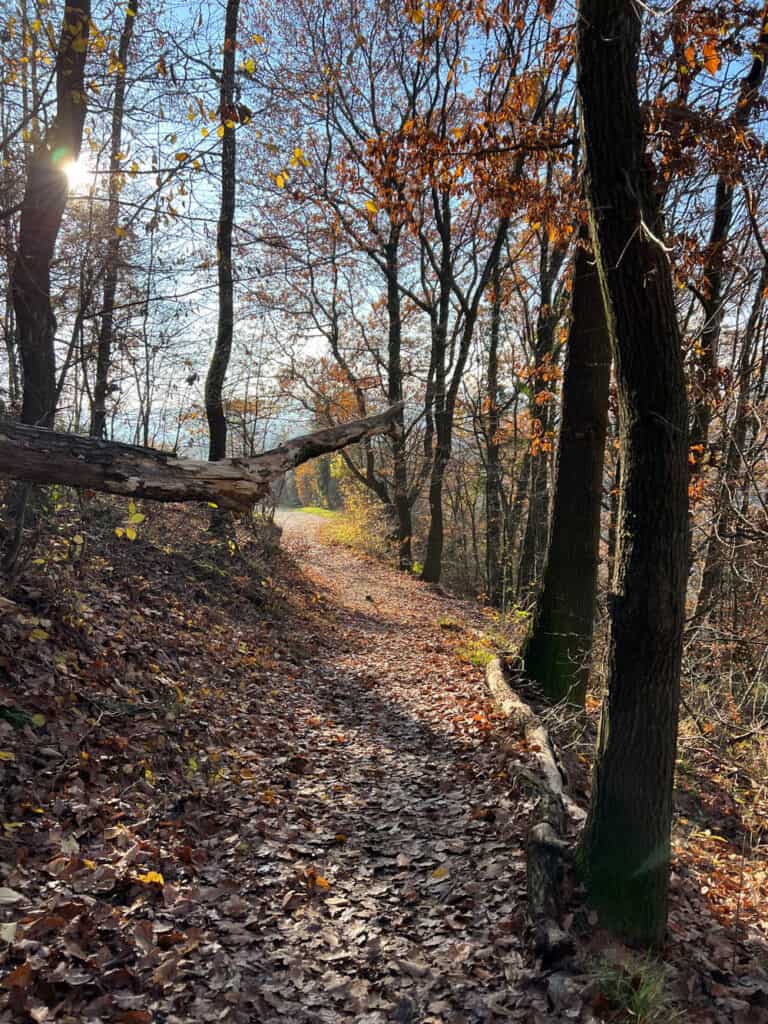 Weinwanderweg Route - Walk and Wonder