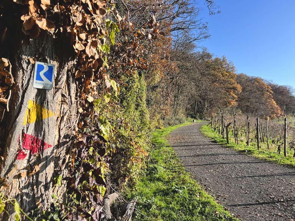 Weinwanderweg Route - Walk and Wonder