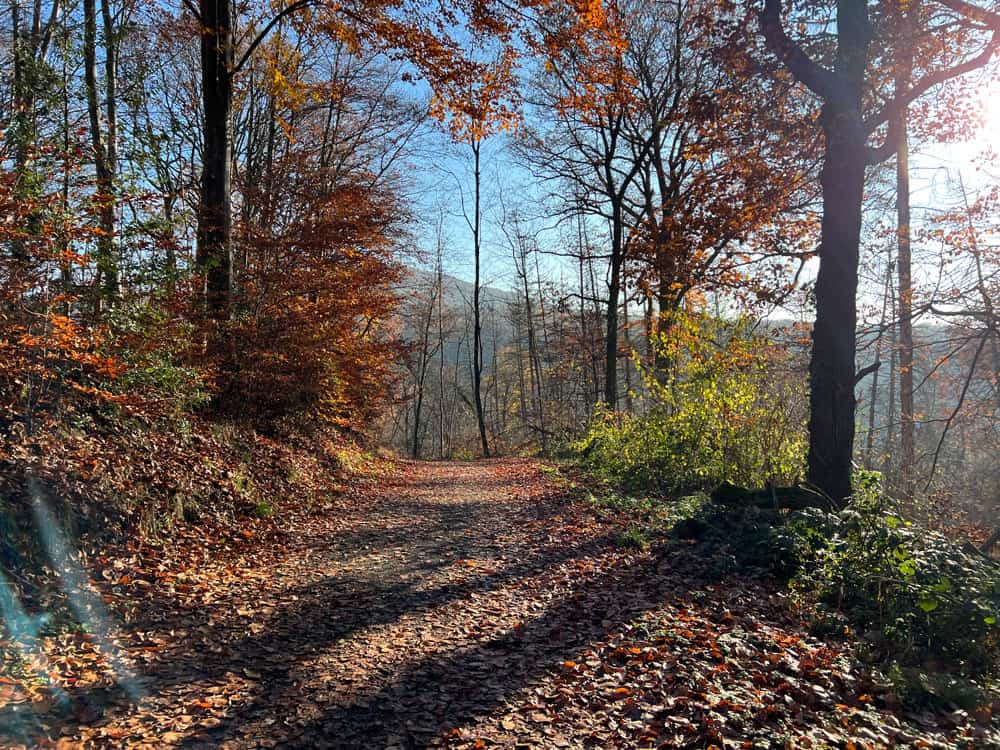 Weinwanderweg Route - Walk and Wonder