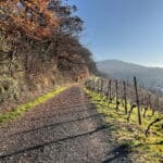 Weinwanderweg Oberdollendorf Route Königswinter - Walk and Wonder