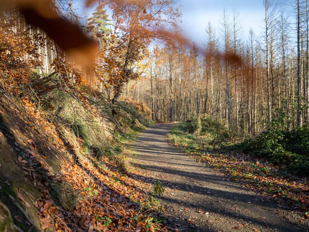 Weinwanderweg Route - Walk and Wonder