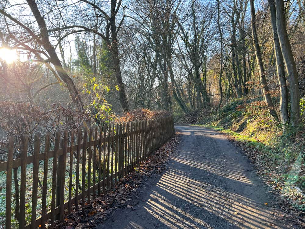 Weinwanderweg Oberdollendorf Route - Walk and Wonder