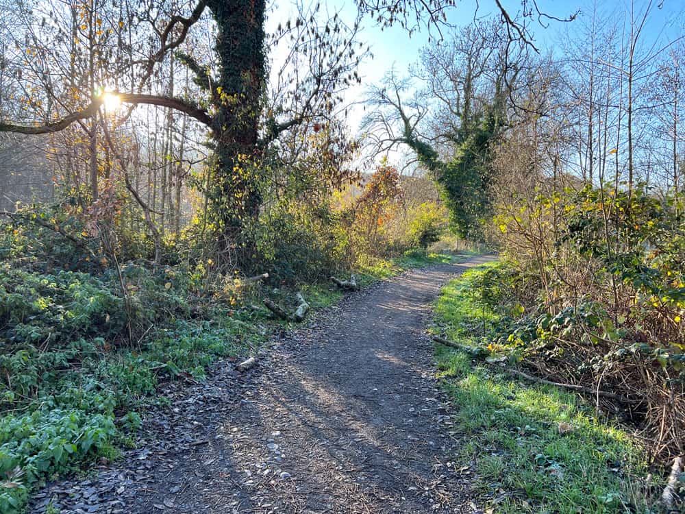 Weinwanderweg Route - Walk and Wonder