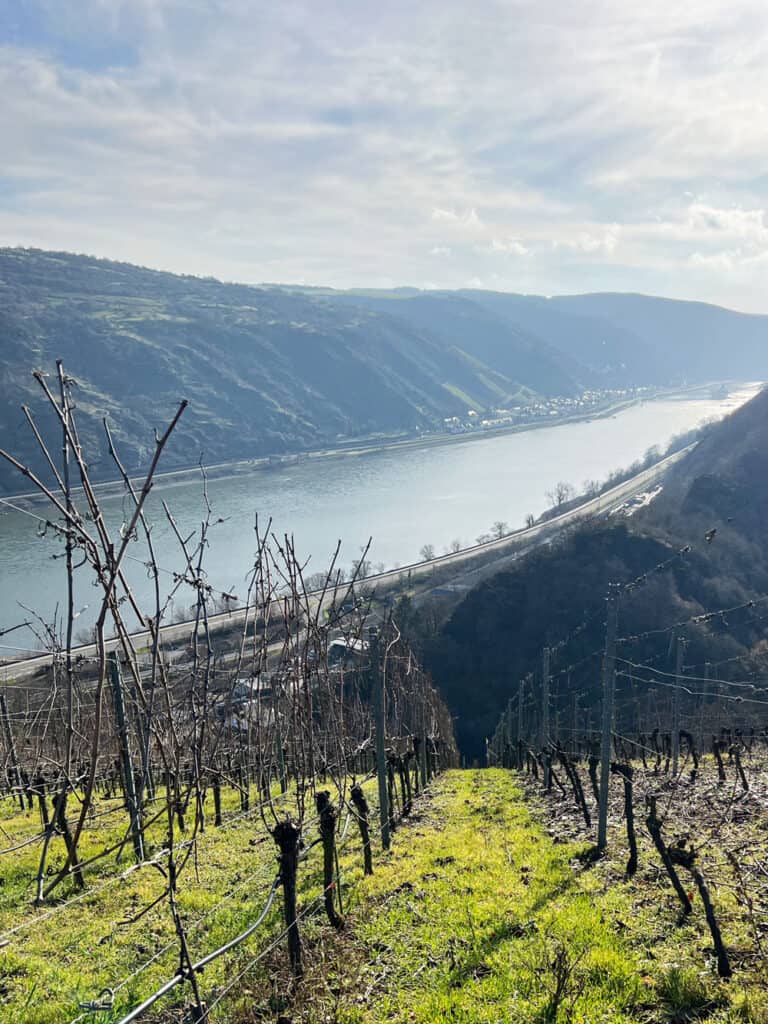 Wanderung in Oberwesel an der Burg - Walk and Wonder