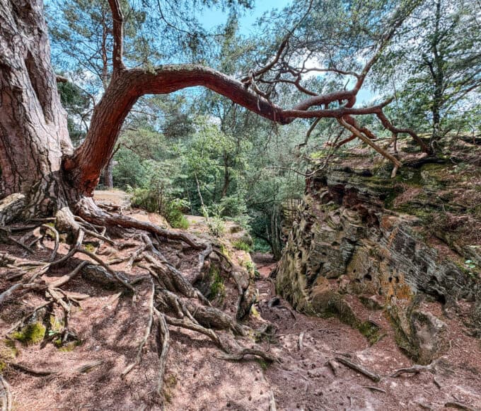 Katzensteine Mechernich Eifel - Lohnt sich das - Wanderblog Walk & Wonder