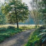 Ohligser Heide Solingen Wanderung Wald und Heide