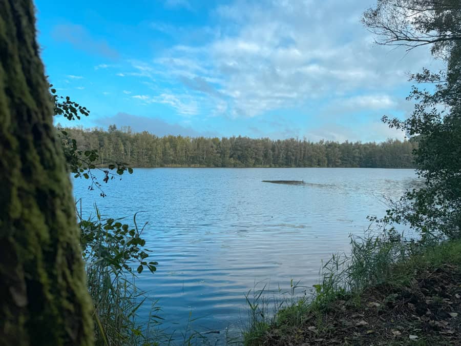 Dinnendahlsee in Erftstadt Köttinger Seenplatte - Walk and Wonder
