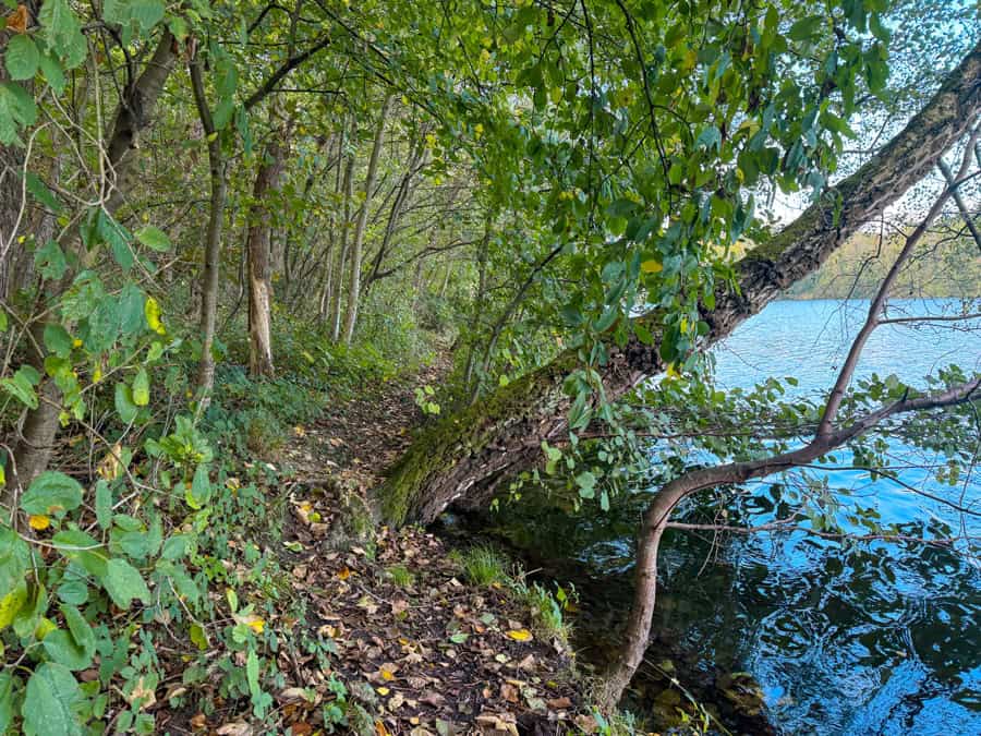 Köttinger Seenplatte Erftstadt - Walk and Wonder Blog
