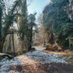 Nordeifel Mechernich Kleine Rundwanderung um die Kakushöhle